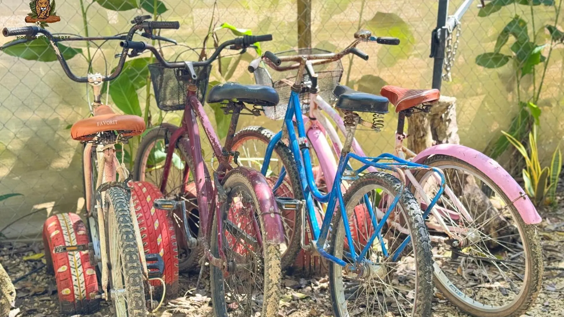 Hotel Selva Bacalar - Free Bike Rental 3*,  Mexico